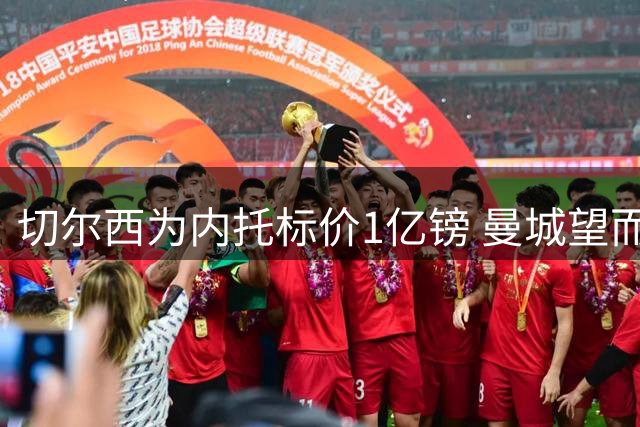 切尔西为内托标价1亿镑 曼城望而却步