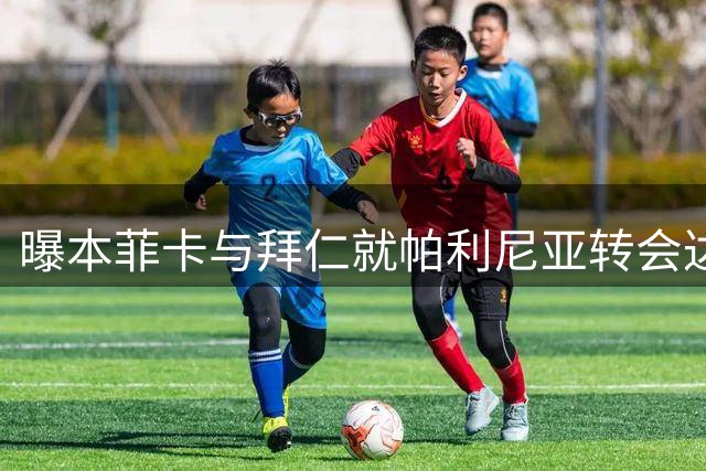 曝本菲卡与拜仁就帕利尼亚转会达成初步协议 合约期至2029年