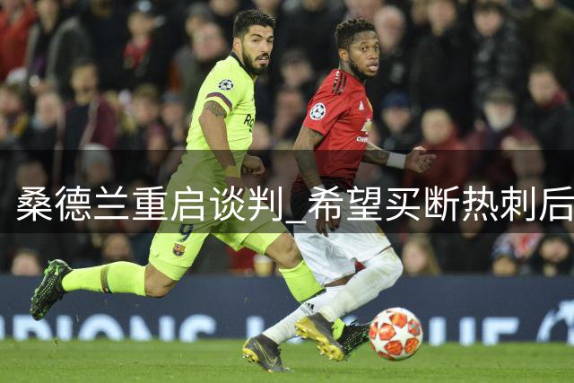 桑德兰重启谈判 希望买断热刺后卫丹索